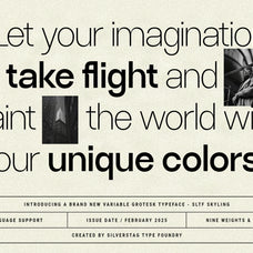 ryecroft-variable-sans-typeface-silverstag-type-foundry-13.jpg