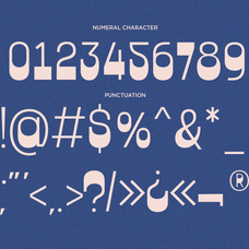 sacora-retro-display-sans-serif-font-say-studio-10.png