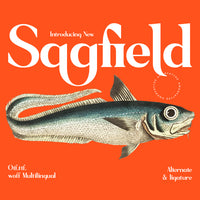 Sagfield Modern Serif Font