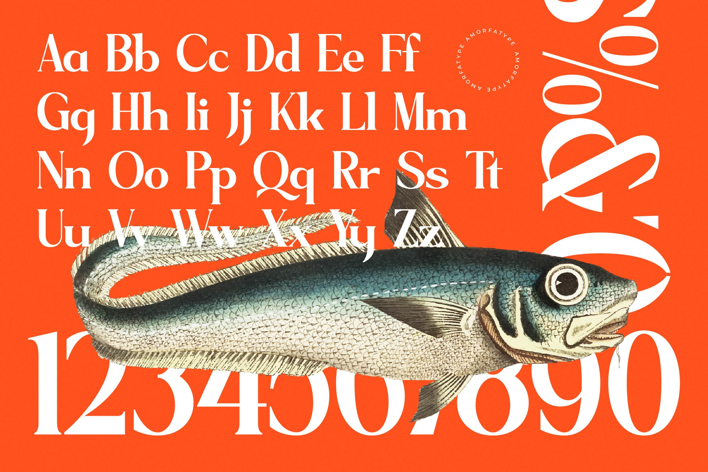sagfield-modern-serif-font-amorfatype-studios-10.jpg