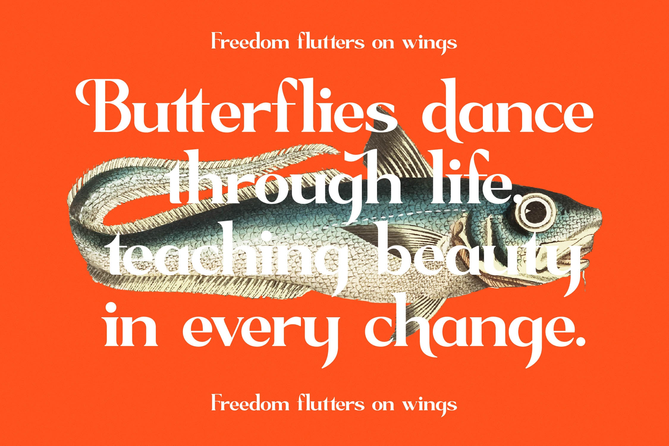 sagfield-modern-serif-font-amorfatype-studios-4.jpg