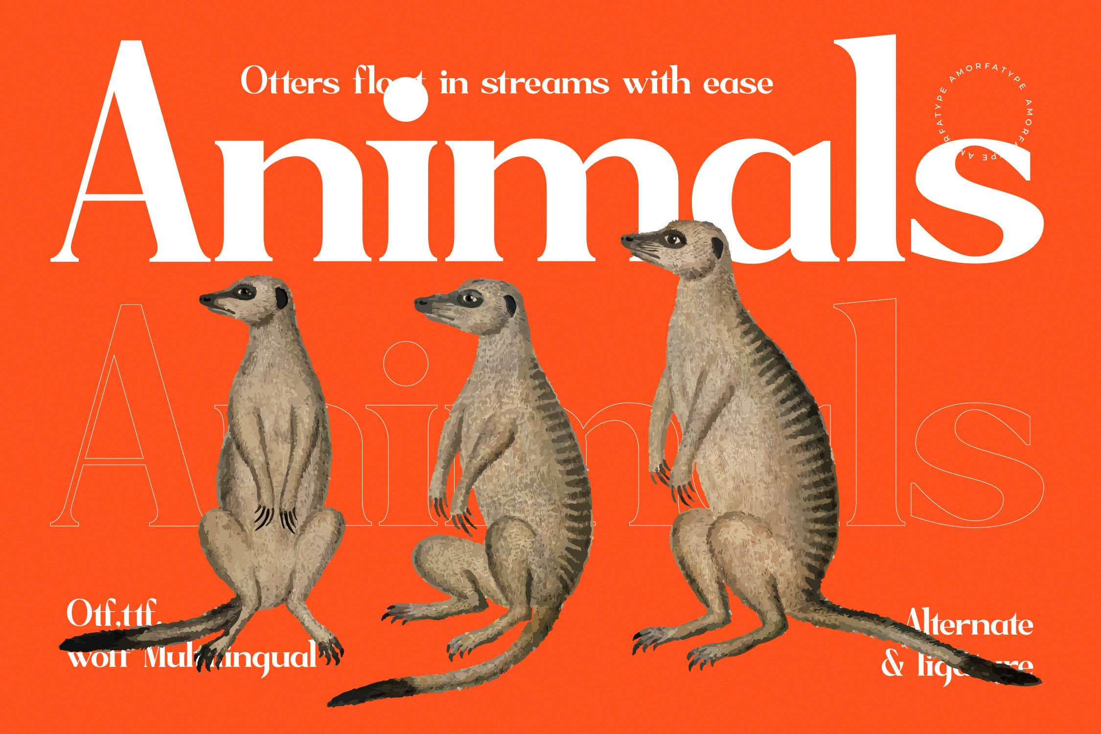 sagfield-modern-serif-font-amorfatype-studios-7.jpg