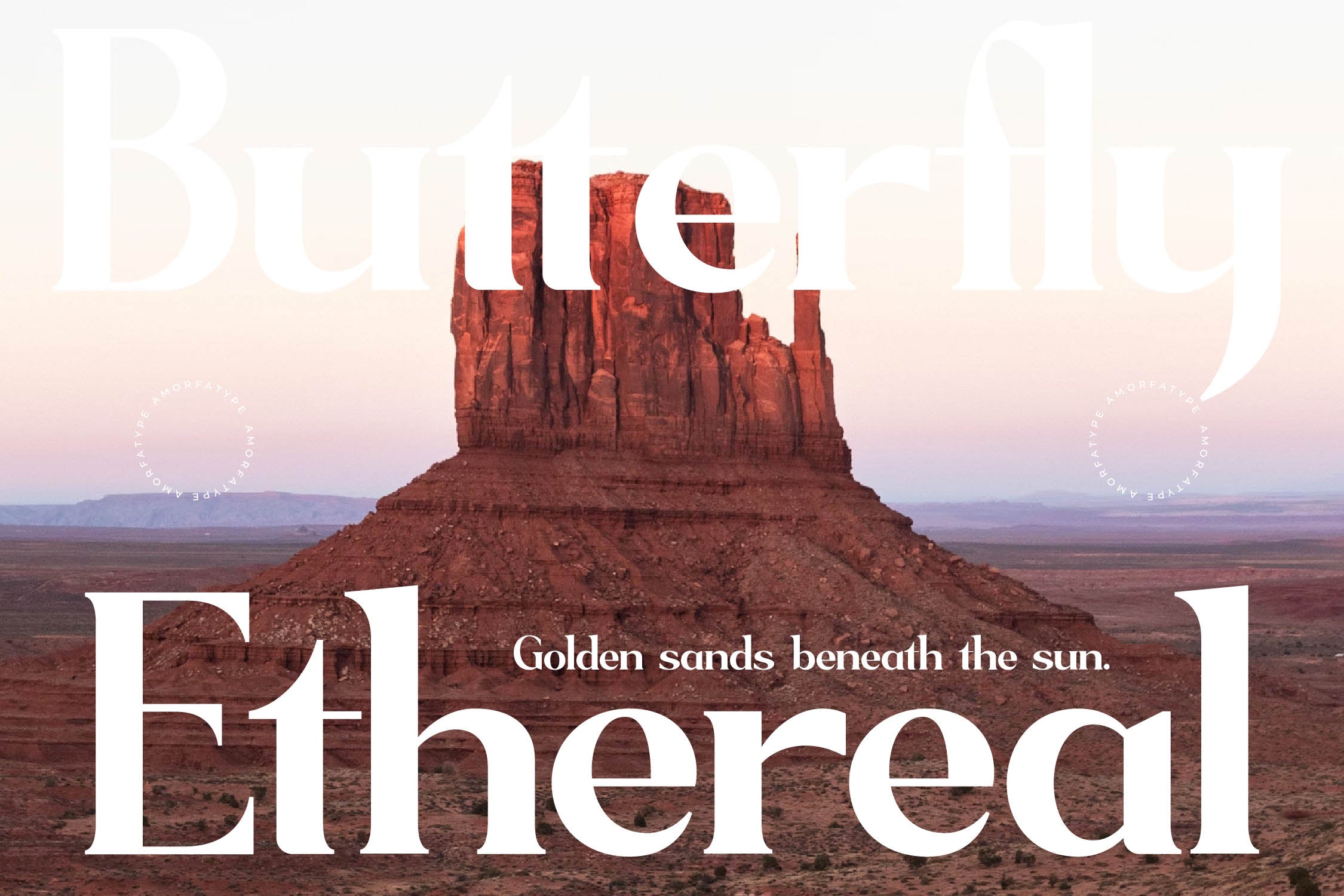 sagfield-modern-serif-font-amorfatype-studios-9.jpg