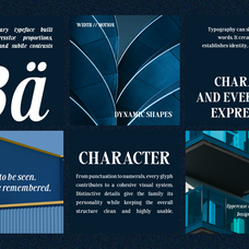 saint-hardvest-high-contrast-editorial-serif-roomspace-creative-lab-7.png