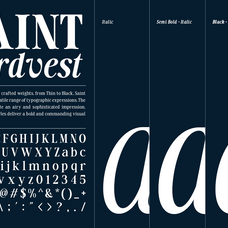 saint-hardvest-high-contrast-editorial-serif-roomspace-creative-lab-9.png