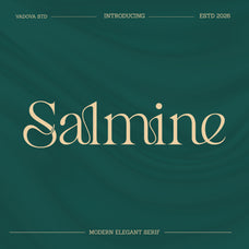 salmine-modern-elegant-serif-font-vadova-studio-1.jpg