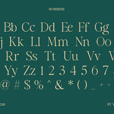 salmine-modern-elegant-serif-font-vadova-studio-2.png