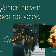 salmine-modern-elegant-serif-font-vadova-studio-5.png