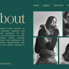 salmine-modern-elegant-serif-font-vadova-studio-6.png
