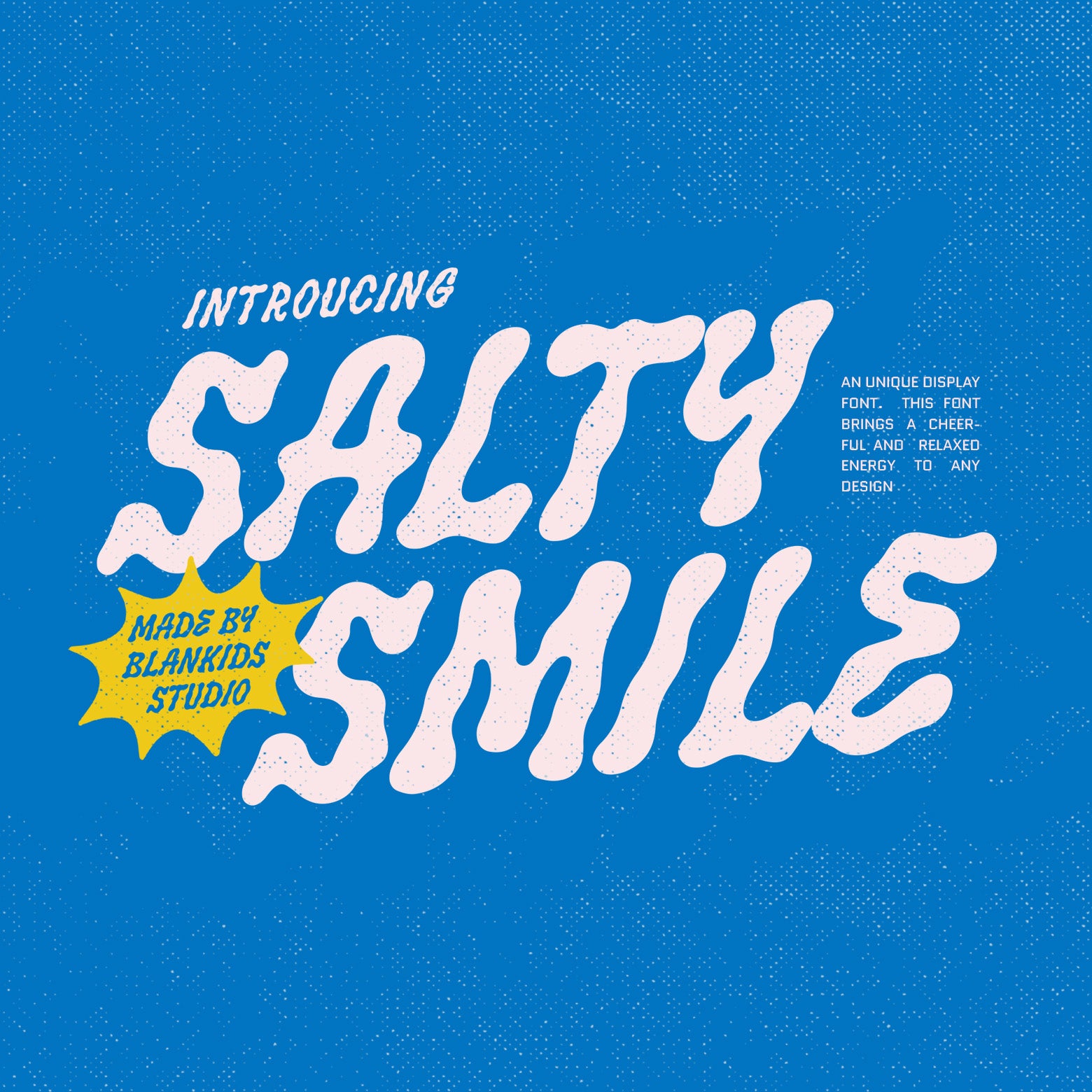 salty-smile-an-unique-display-font-blankids-1.jpg