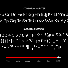 saluna-minimalist-sans-serif-say-studio-12.png