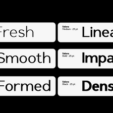 saluna-minimalist-sans-serif-say-studio-6.png