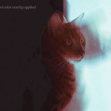 Sandstorm Disrupted Photoshop Effect