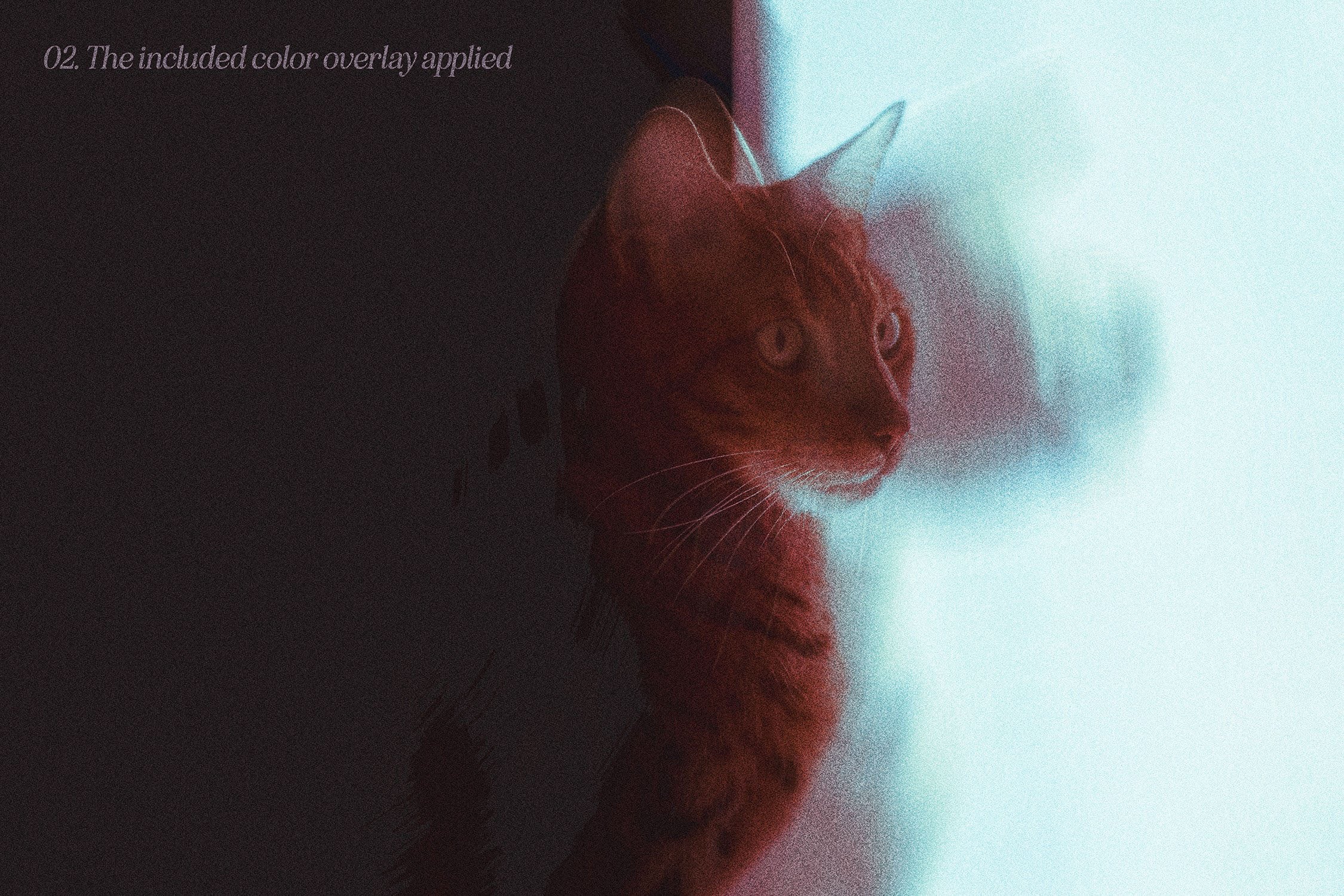 Sandstorm Disrupted Photoshop Effect