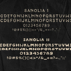 sanolia-hand-draw-typeface-aroka-true-independent-studio-2.jpg