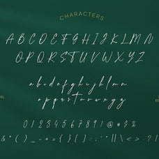 santika-monoline-script-typeface-font-brandearth-studio-2.jpg