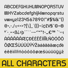 sarnai-sans-serif-font-craft-supply-co-8.jpg