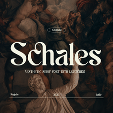 schales-aesthetic-ligature-serif-font-unknown-creator-1.png