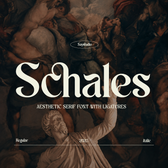 Schales - Aesthetic Ligature Serif Font