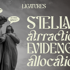 schales-aesthetic-ligature-serif-font-unknown-creator-10.png