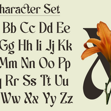 schales-aesthetic-ligature-serif-font-unknown-creator-11.png