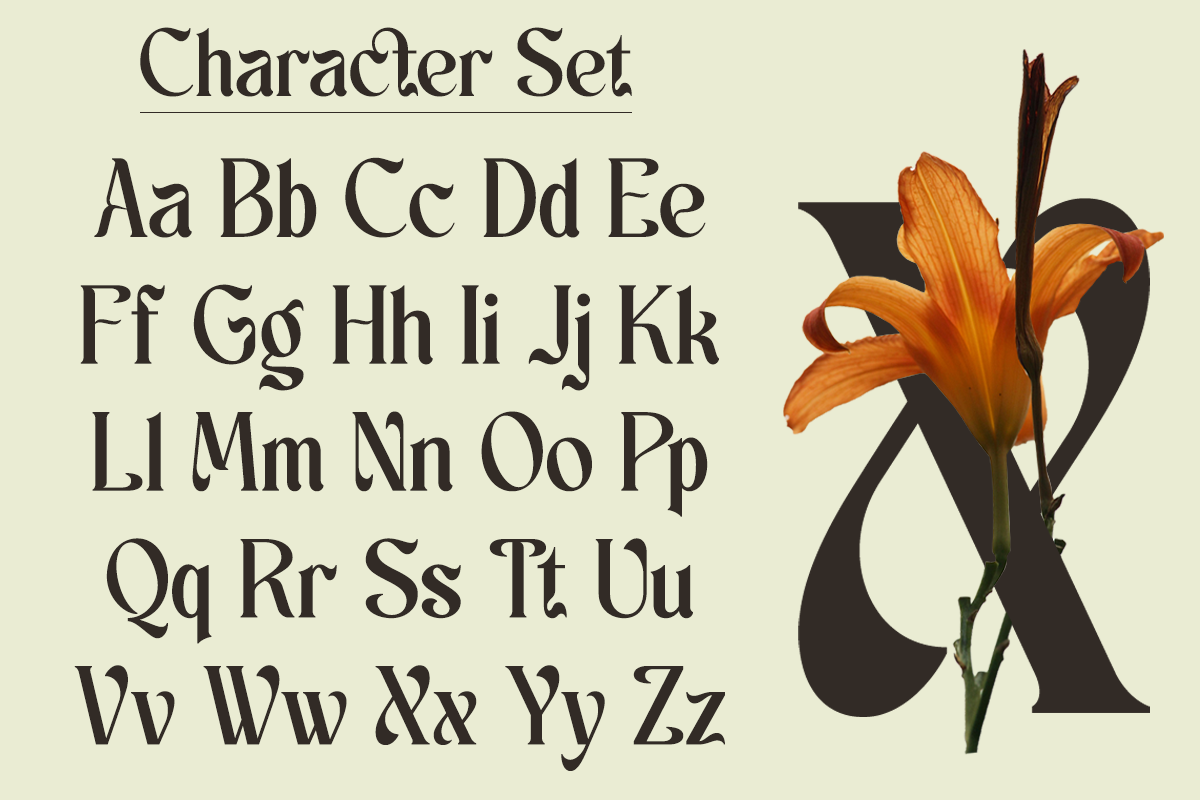 schales-aesthetic-ligature-serif-font-unknown-creator-11.png
