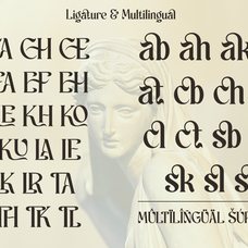 schales-aesthetic-ligature-serif-font-unknown-creator-12.png