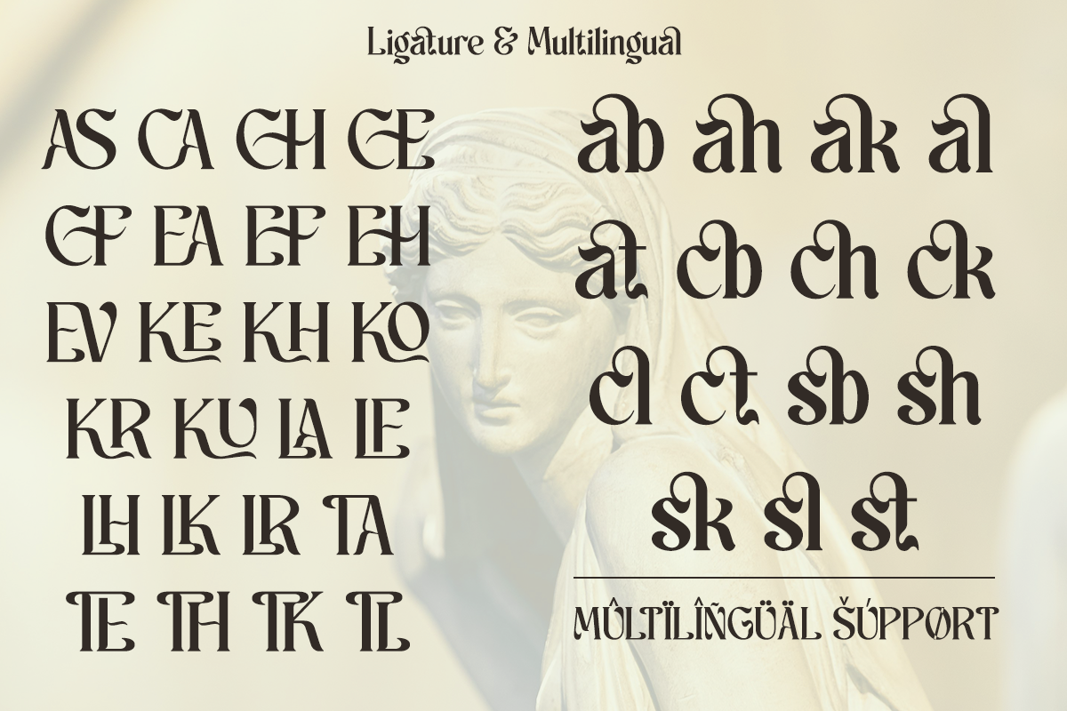schales-aesthetic-ligature-serif-font-unknown-creator-12.png