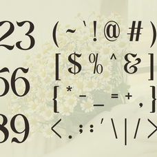 schales-aesthetic-ligature-serif-font-unknown-creator-13.png