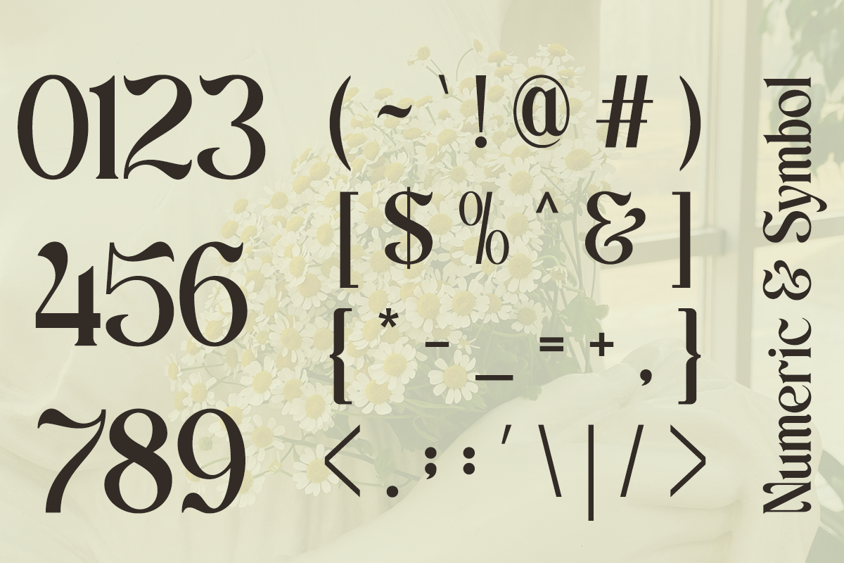 schales-aesthetic-ligature-serif-font-unknown-creator-13.png