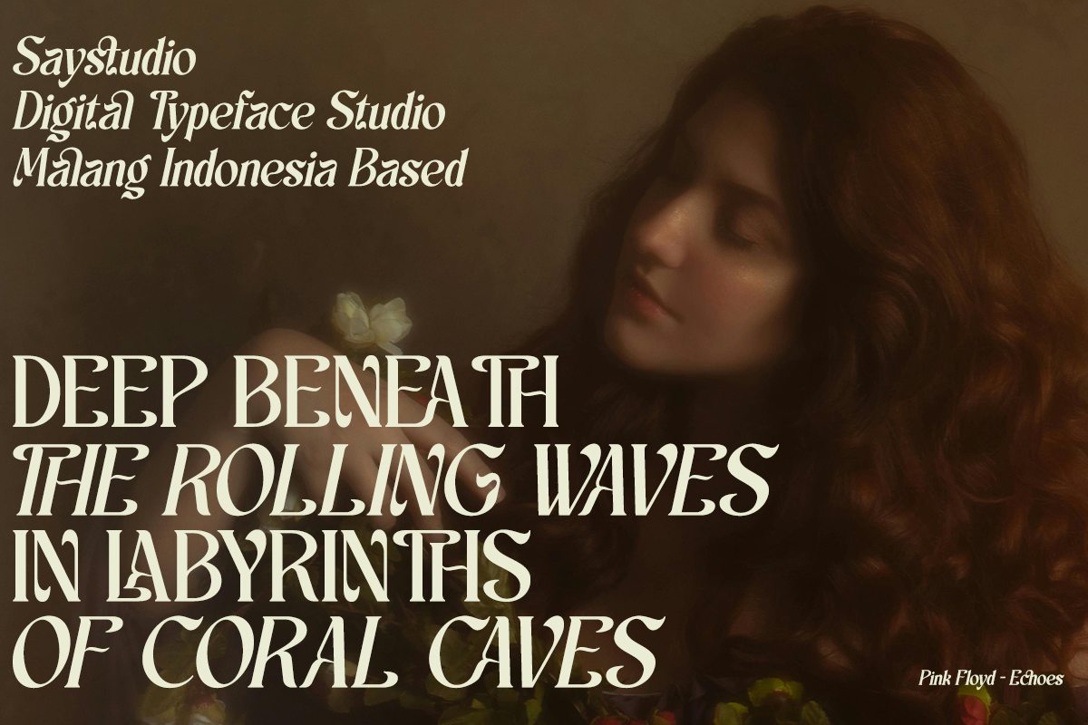 schales-aesthetic-ligature-serif-font-unknown-creator-2.png