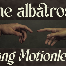 schales-aesthetic-ligature-serif-font-unknown-creator-3.png