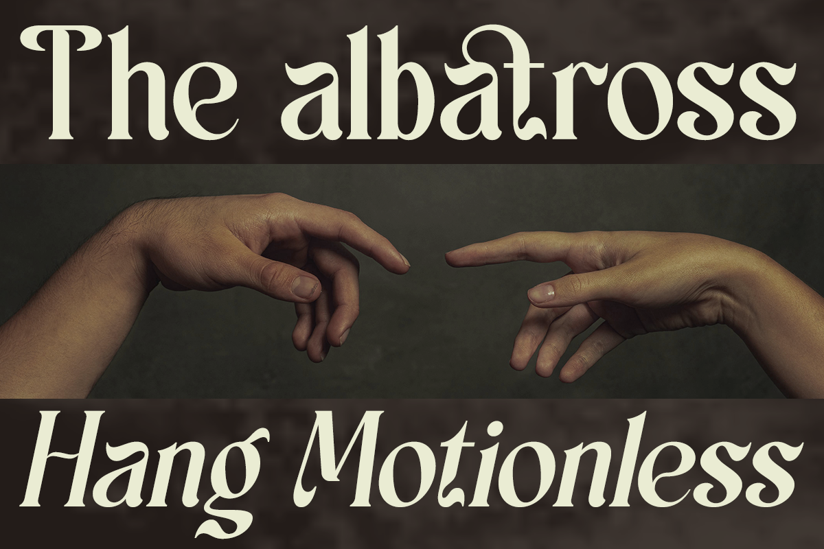 schales-aesthetic-ligature-serif-font-unknown-creator-3.png