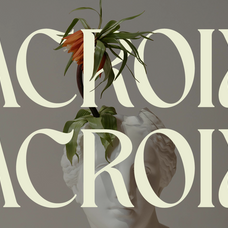 schales-aesthetic-ligature-serif-font-unknown-creator-5.png