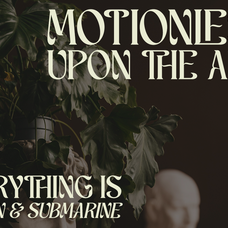 schales-aesthetic-ligature-serif-font-unknown-creator-9.png
