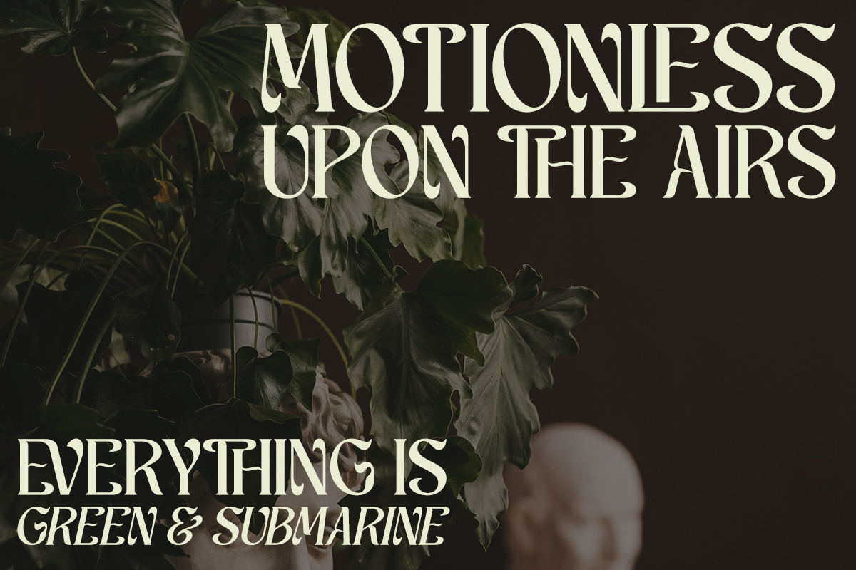 schales-aesthetic-ligature-serif-font-unknown-creator-9.png