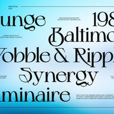 schiller-contemporary-serif-display-typeface-any-type-foundry-3.jpg