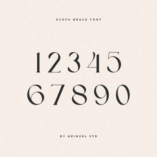 scoth-brace-ligature-serif-font-heinzel-std-9.jpg