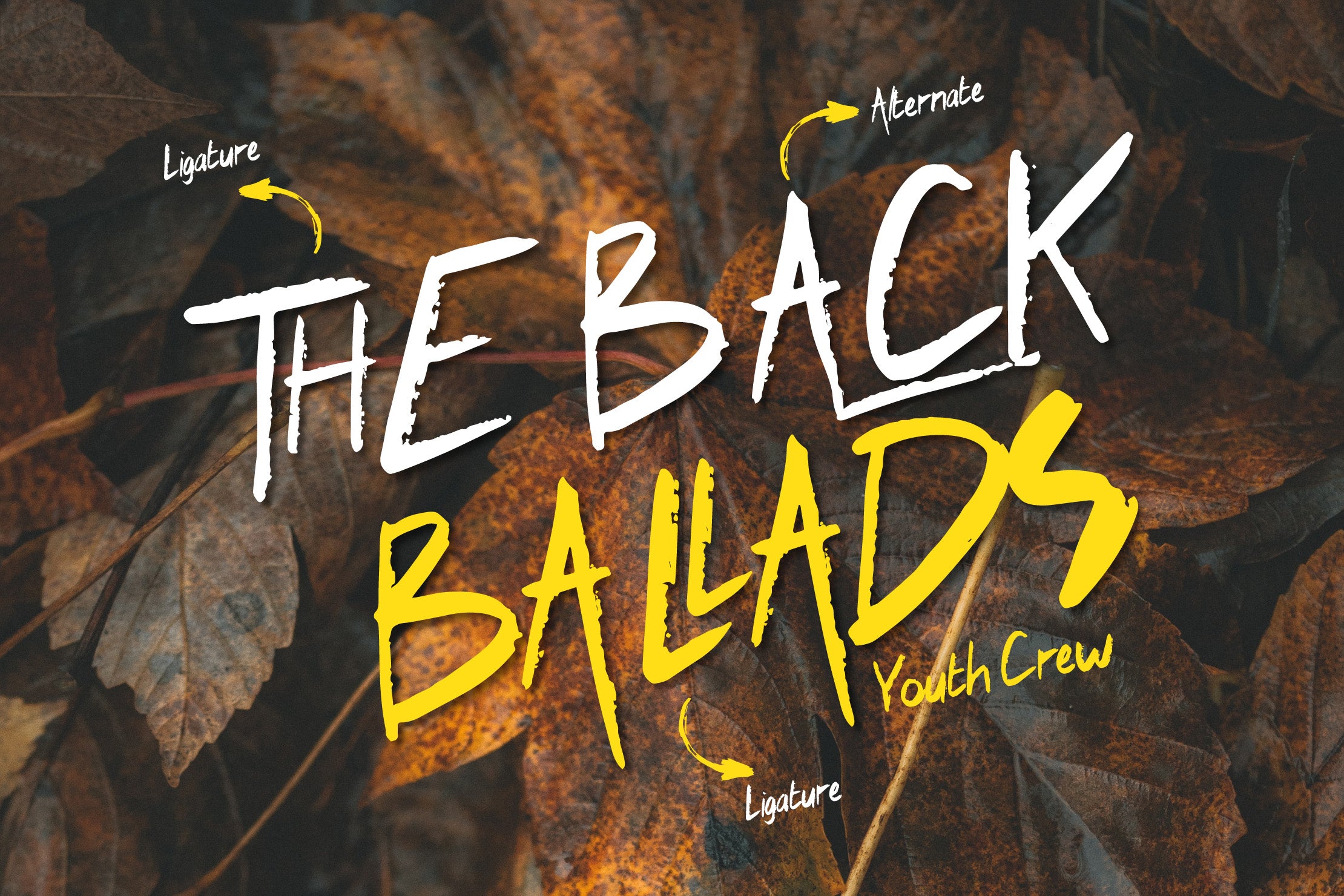 screads-typeface-sundaylab-2.jpg