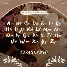 sebale-handwritten-script-craft-supply-co-8.jpg