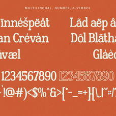 second-choice-vintage-slab-serif-font-unknown-creator-7.png