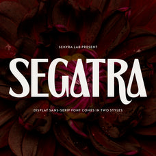segatra-display-font-sekyra-lab-1.jpg
