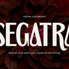 segatra-display-font-sekyra-lab-2.jpg