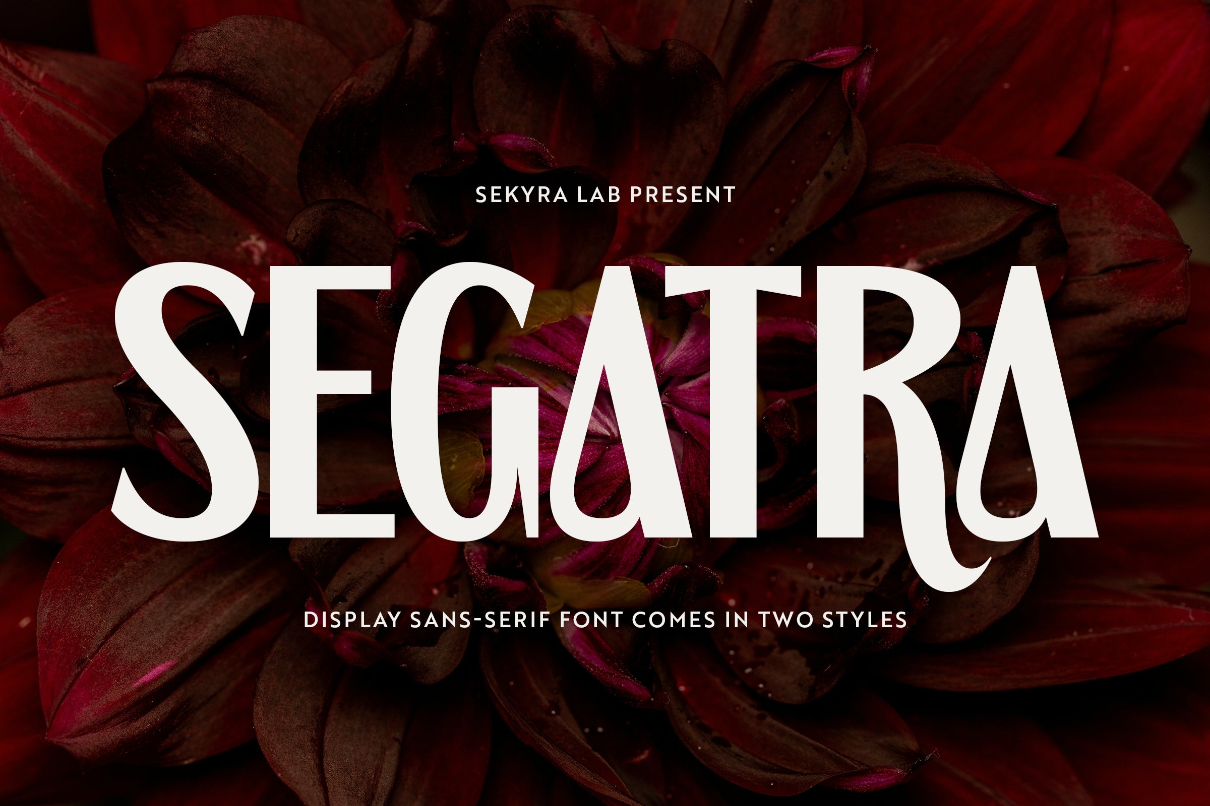 segatra-display-font-sekyra-lab-2.jpg
