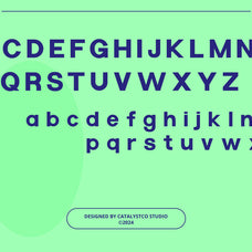 seguira-sans-serif-font-catalystco-studio-2.jpg