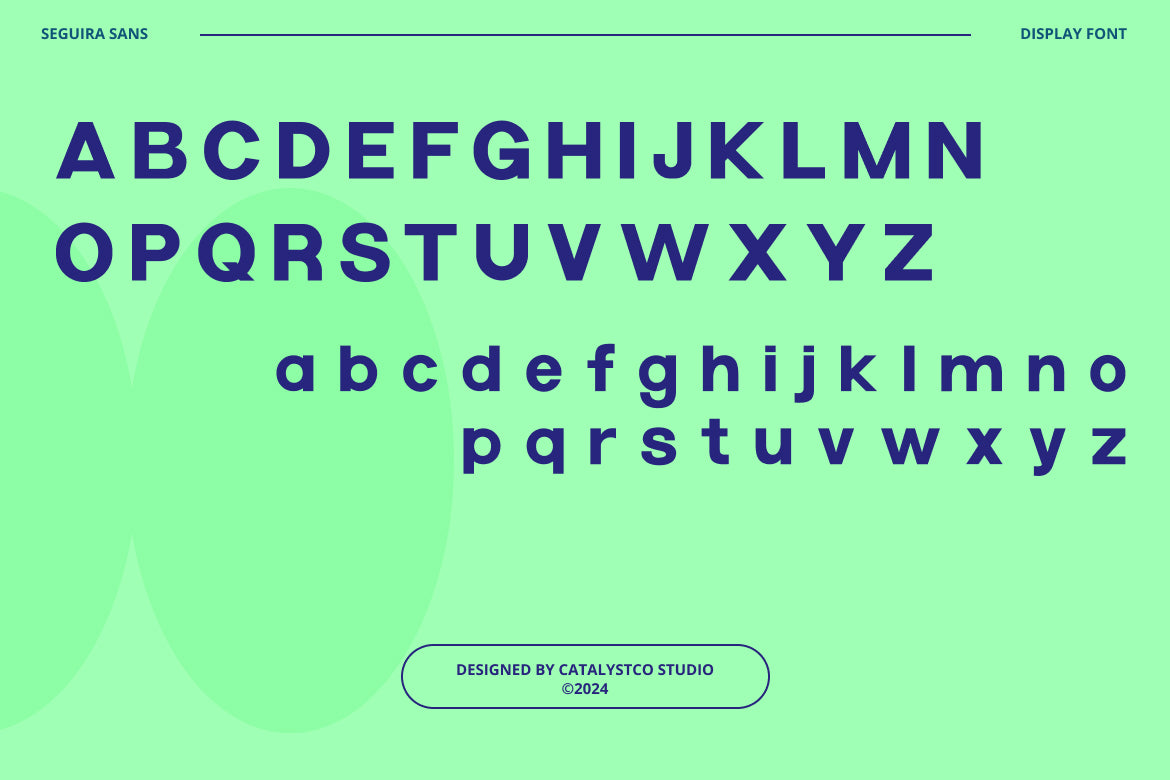 seguira-sans-serif-font-catalystco-studio-2.jpg
