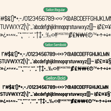 sellon-razetype-10.png