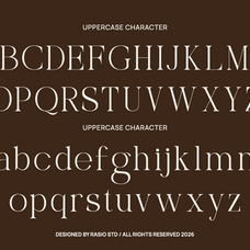 selora-elegant-swash-serif-font-unknown-creator-2.png