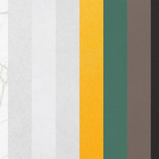 Selva: Business Card Mockup Kit