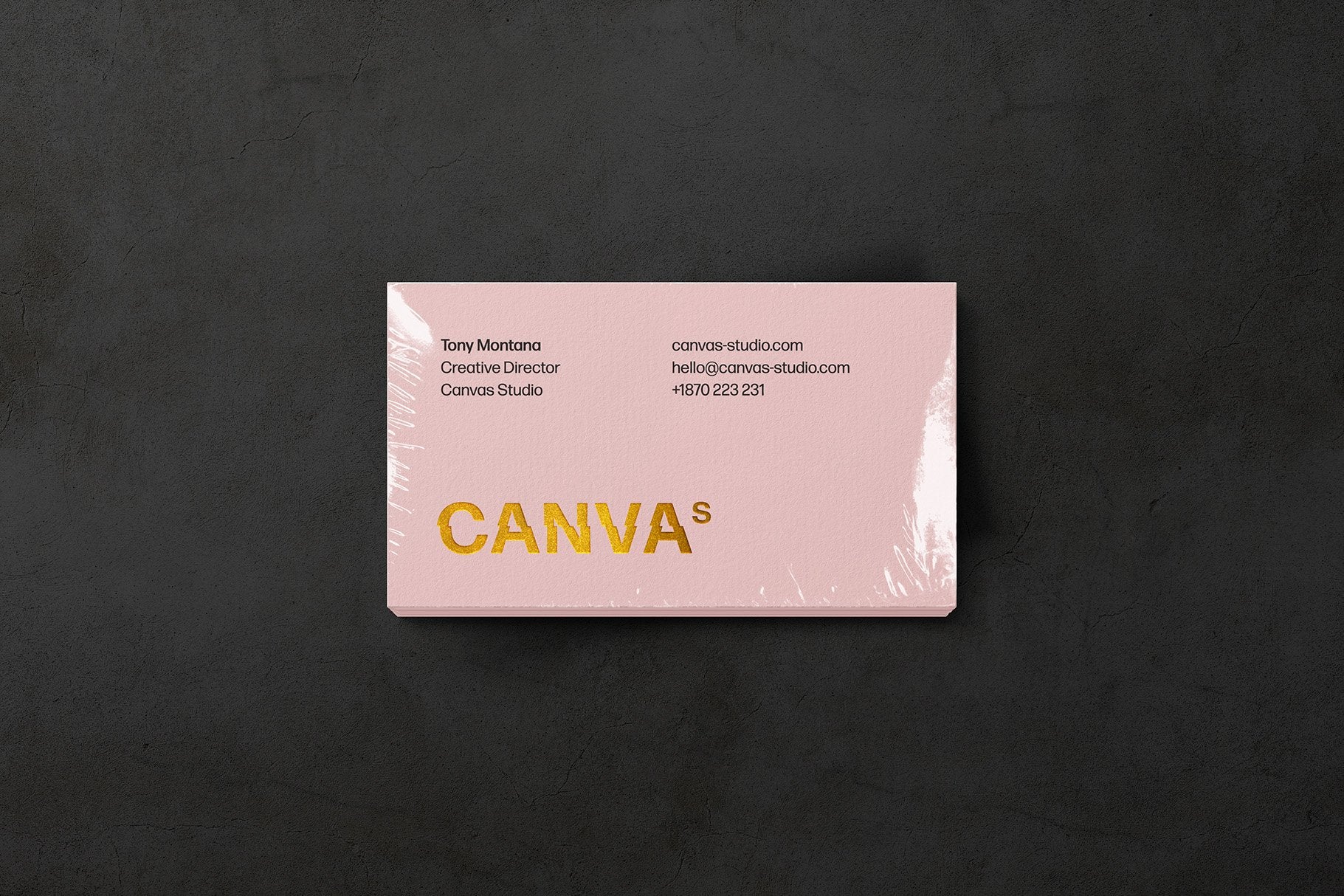Selva: Business Card Mockup Kit